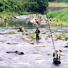 鮎釣り