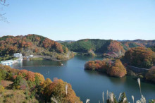 なばり四季のブログ-青蓮寺湖