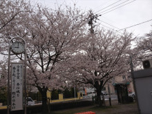 なばり四季のブログ