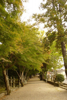 なばり四季のブログ-20121103 積田神社