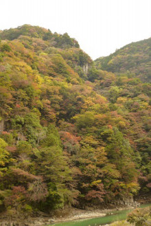 なばり四季のブログ-20121103 紅葉渓