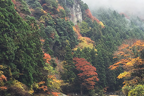 青蓮寺湖・香落渓