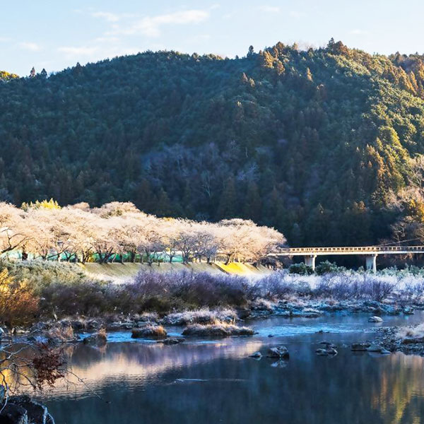 冬の名張の風景