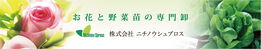 日本農産種苗株式会社