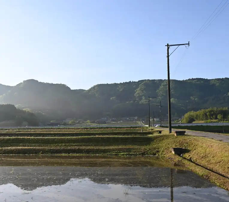 里山の米作り体験