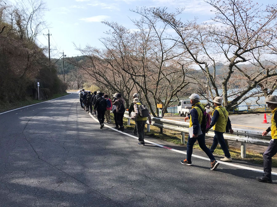 ガイドと歩いている